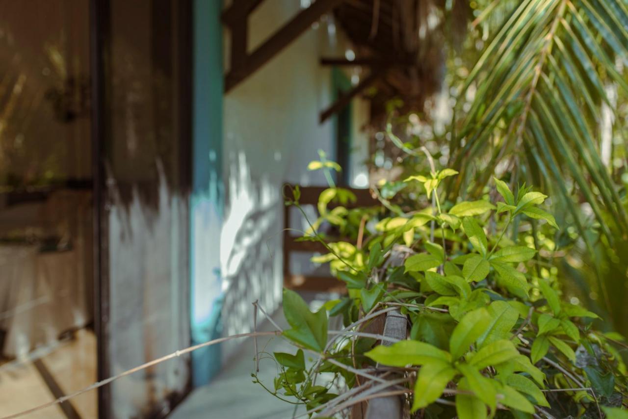Hotel Villas Tiburon Isla Holbox Exteriör bild