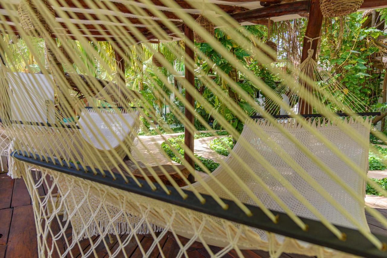 Hotel Villas Tiburon Isla Holbox Exteriör bild